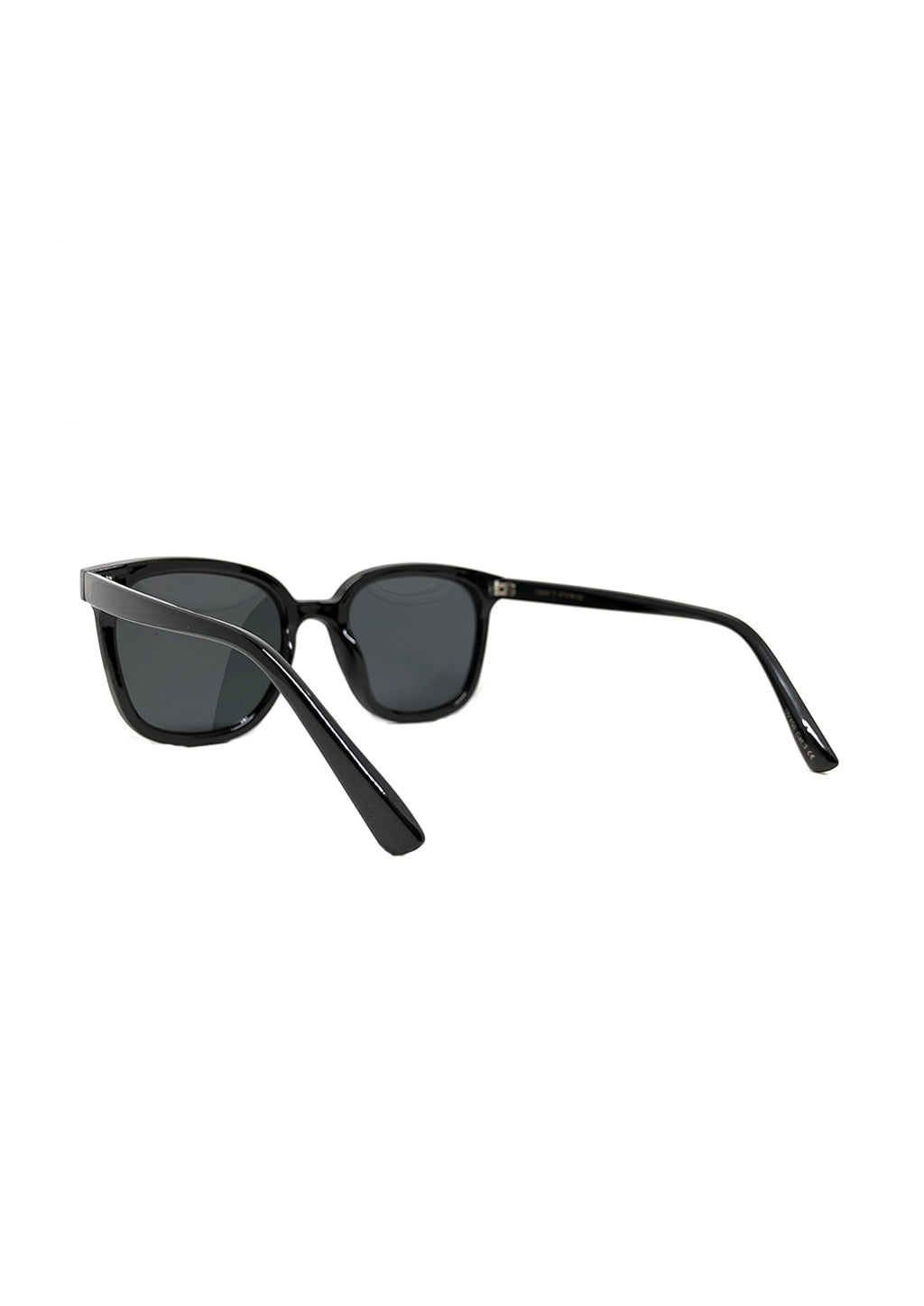 Iris Wayfarer sunglasses - Details