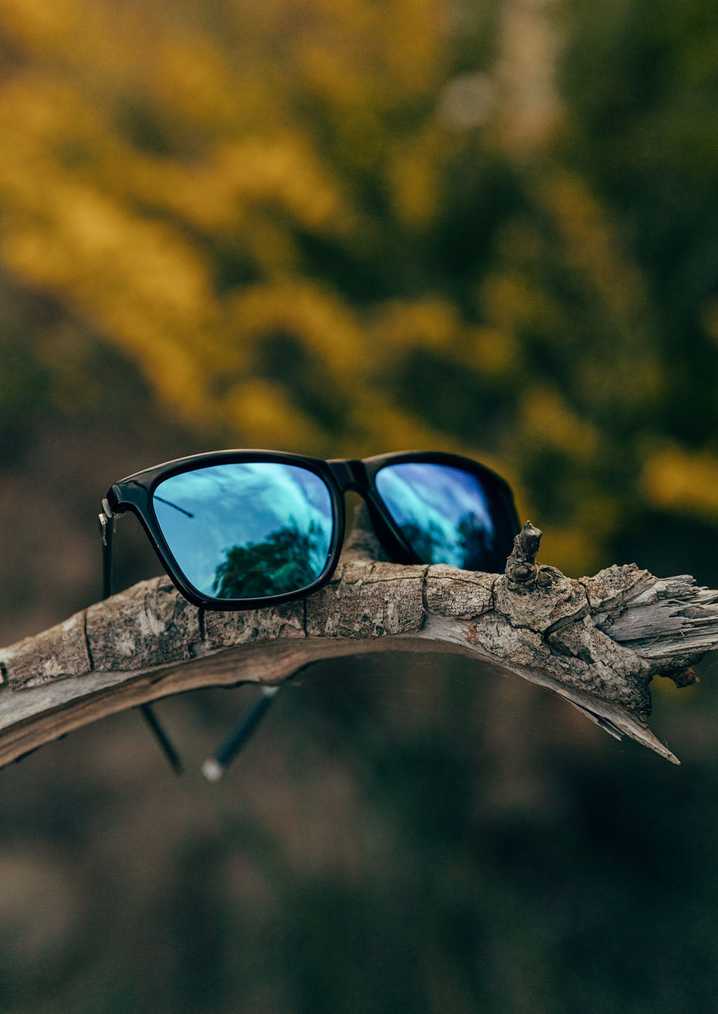 Noord Wayfarer sunglasses - Outside
